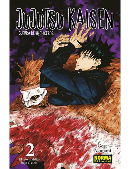 es::Jujutsu Kaisen 02