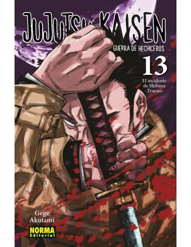 es::Jujutsu Kaisen 13