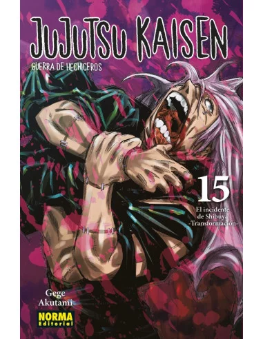 es::Jujutsu Kaisen 15