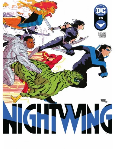 es::Nightwing 25