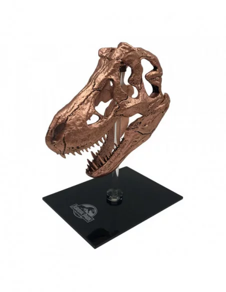 Jurassic Park Mini Réplica T-Rex Skull 10 cm