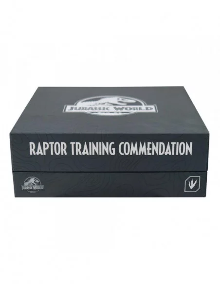 Jurassic World Pack de 3 Chapas Raptor Training Commendation Limited Edition