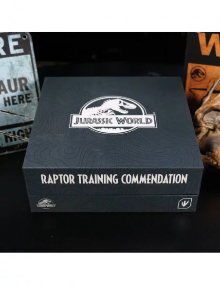 Jurassic World Pack de 3 Chapas Raptor Training Commendation Limited Edition