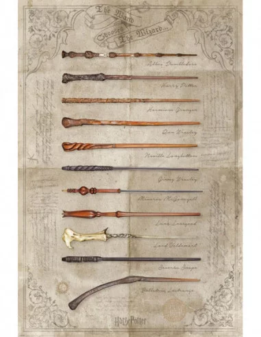 Harry Potter Set de 4 Pósteres The Wand chooses the Wizzard 61 x 91 cm (4)