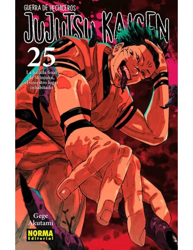 es::Jujutsu Kaisen 25