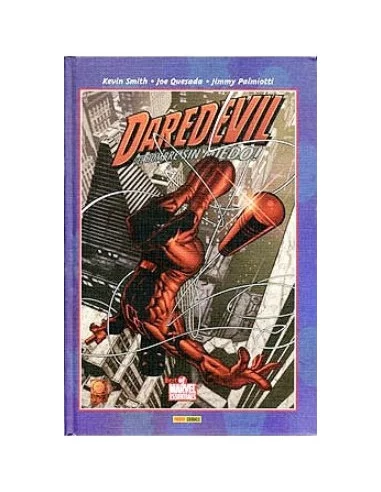 es::Marvel Knights: Daredevil 01