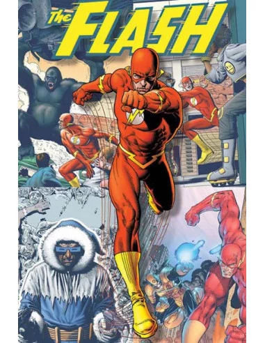 es::The Flash 4 Tpbs Collecting 170-200